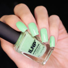 ILNP Minted