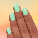 ILNP Minted