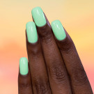 ILNP Minted