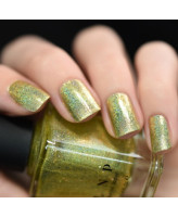 ILNP Money Bin