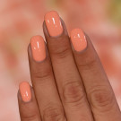 ILNP Patisserie