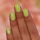 ILNP Pistachio