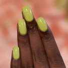 ILNP Pistachio