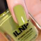 ILNP Pistachio