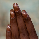 ILNP Reindeer Crossing