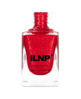ILNP Secret Santa