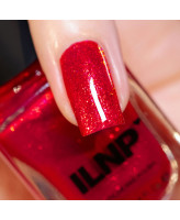 ILNP Secret Santa