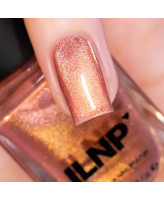ILNP Signature