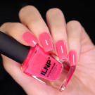 ILNP Sorbet