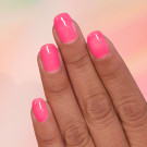 ILNP Sorbet