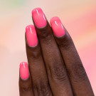 ILNP Sorbet