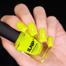 ILNP Squeeze Me