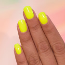 ILNP Squeeze Me