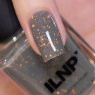 ILNP Storm Watch