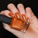 ILNP Trick Or Treat