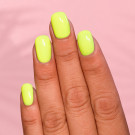ILNP Unbothered