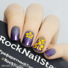 Трафарет для ногтей RockNailStar Трафарет-мини Орхидеи