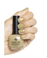 Nailor Аверкамп Nailor Аверкамп
