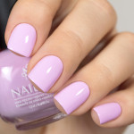 Nailor Бенуа