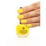Nailor Эрнст