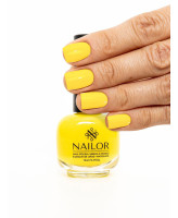 Nailor Эрнст Nailor Эрнст