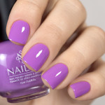 Nailor Жерико