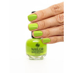 Nailor Жером