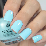 Nailor Миллет