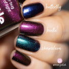 Picture Polish Beetle