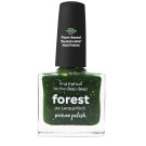 Picture Polish Forest