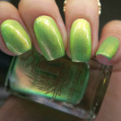 Rogue Lacquer My Garden is in Bloom