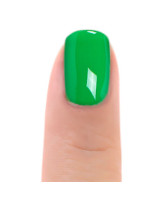 ZOYA Evergreen